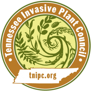 tnipcTRANSPARENT